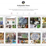 HollywaterHens.co.uk on Pinterest