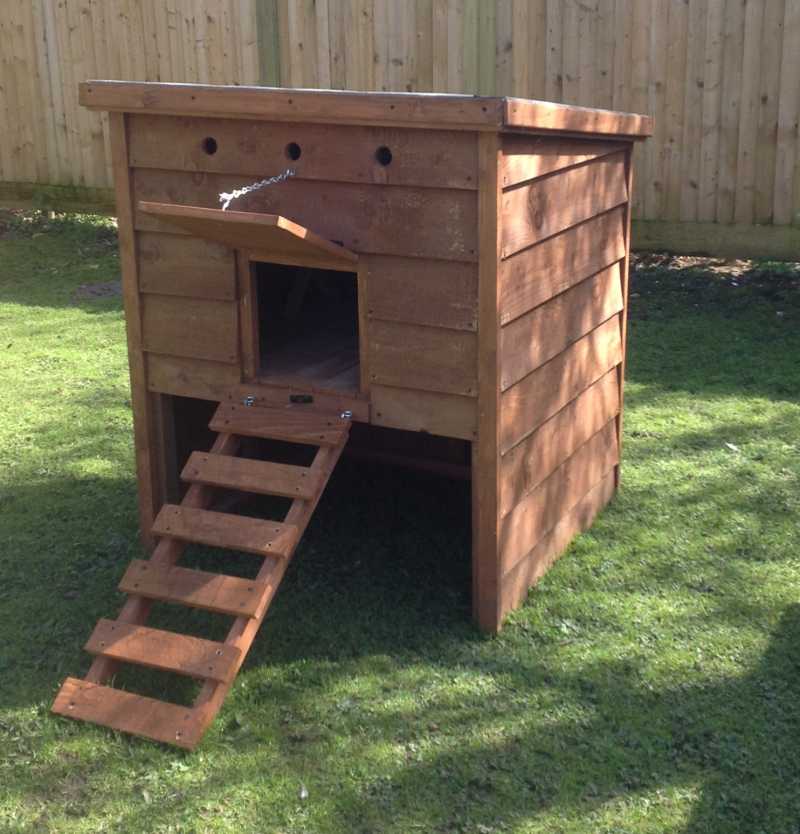 small hen house