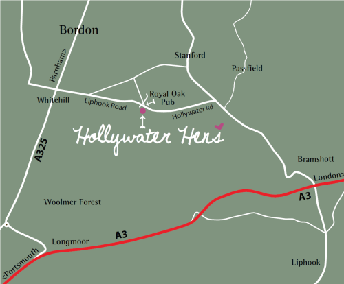 Hollywater Hens - Location
