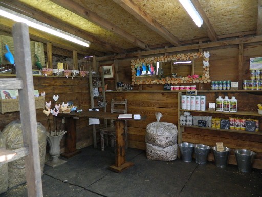 Hollywater Hens shop - interior