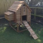 Larger Chicken House with base